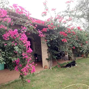 Casa Santina Casa vacanze Girasole